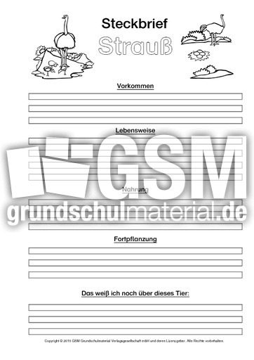 Strauß-Steckbriefvorlage-sw.pdf